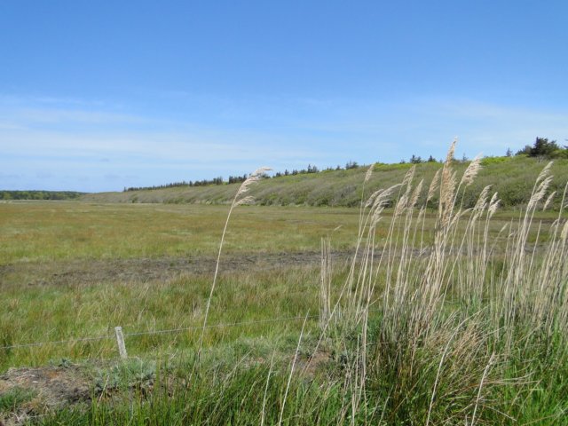 HWK Texel 297.jpg
